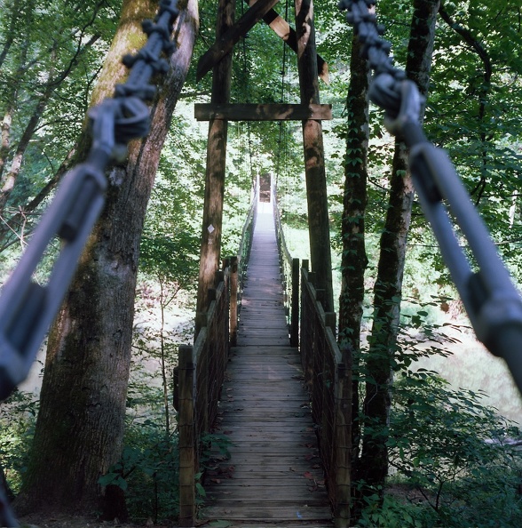 Red River, Luna Moth